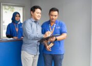 Auksi luncurkan platform lelang baru dan relokasi pool