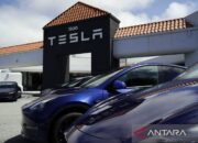 Penjualan Tesla di Jerman anjlok 60 persen pada Juni 2025
